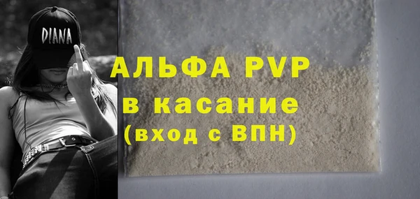ПСИЛОЦИБИНОВЫЕ ГРИБЫ Белокуриха