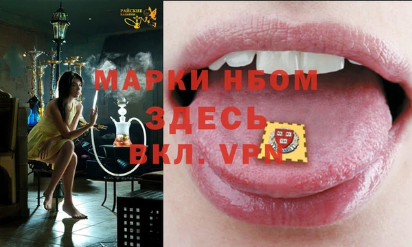 ПСИЛОЦИБИНОВЫЕ ГРИБЫ Белокуриха