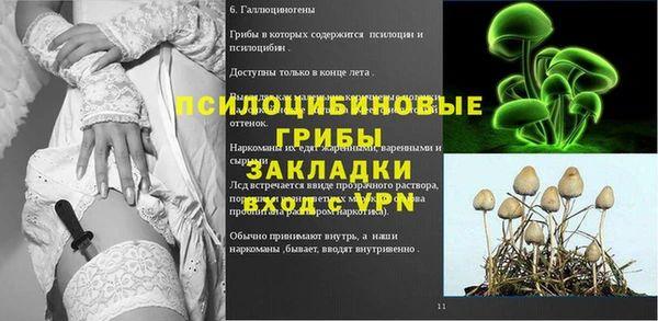 ПСИЛОЦИБИНОВЫЕ ГРИБЫ Белокуриха
