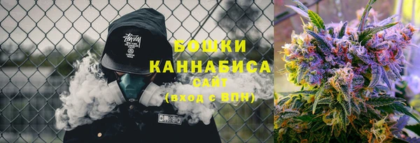 гашик Белоозёрский