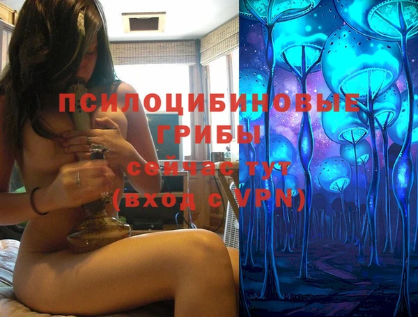ПСИЛОЦИБИНОВЫЕ ГРИБЫ Белокуриха