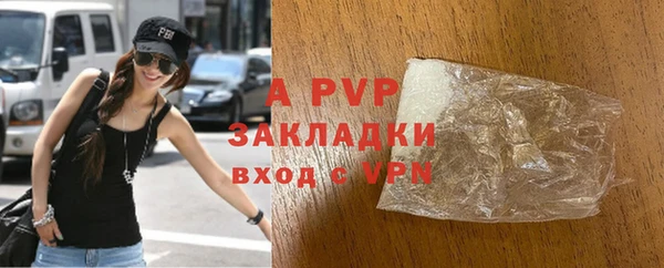 ПСИЛОЦИБИНОВЫЕ ГРИБЫ Белокуриха