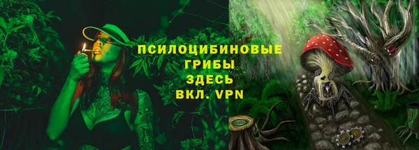 ПСИЛОЦИБИНОВЫЕ ГРИБЫ Белокуриха