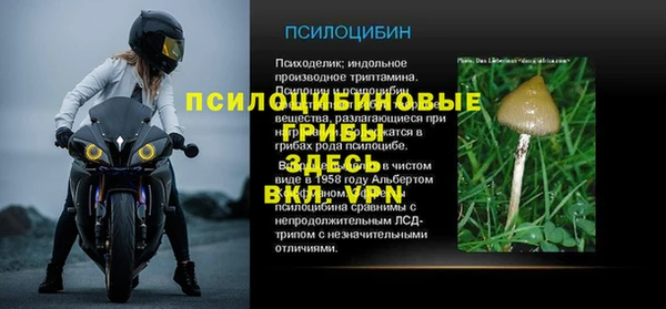 ПСИЛОЦИБИНОВЫЕ ГРИБЫ Белокуриха
