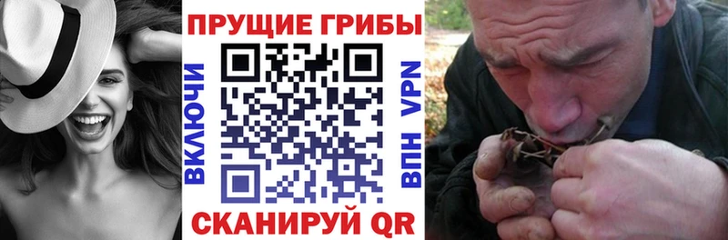 Галлюциногенные грибы GOLDEN TEACHER  купить закладку  Липецк 